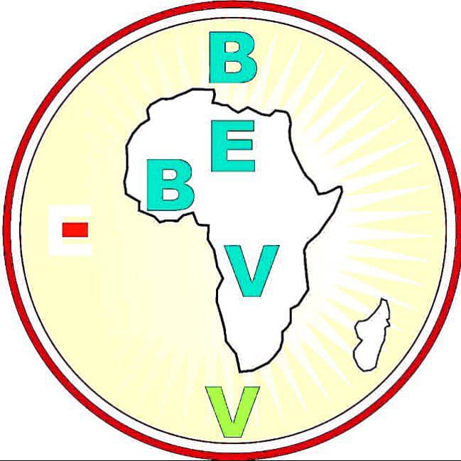EBV Design